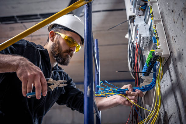 Best Electric Panel Repair  in Riceville, TN
