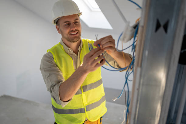 Best Electric Panel Repair  in Riceville, TN